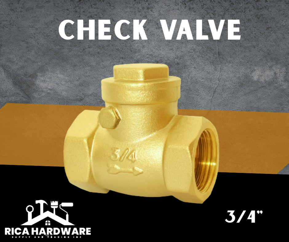 CHECK VALVE 3/4