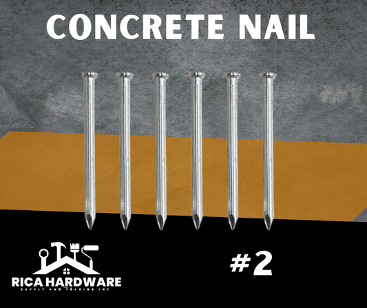 CONCRETE NAIL 2