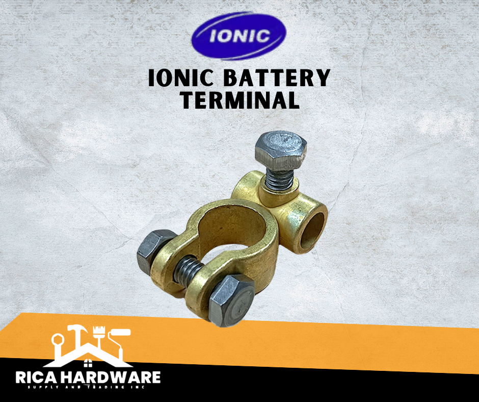 IONIC BATTERY TERMINAL